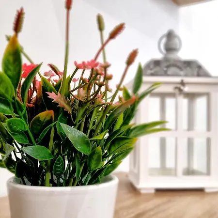 Apartamento Andalusí&parking Incluido&casco Histórico