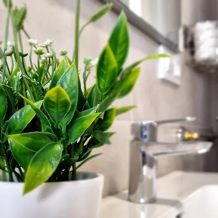 Andalusí&parking Incluido&casco Histórico