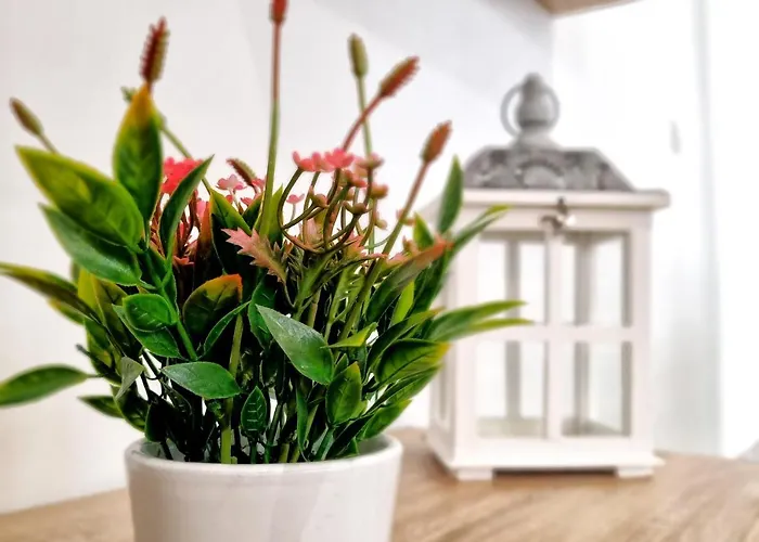 Apartmán Andalusi & Parking Incluido & Casco Historico