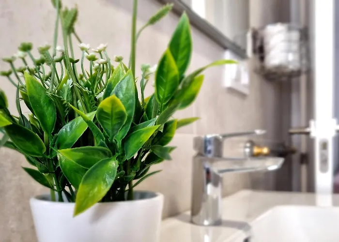 Andalusi & Parking Incluido & Casco Historico